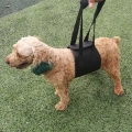 HCPET F1905 Vodítko pro postižené psy a starší psy, M (Černé)