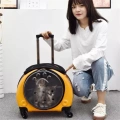 Přenosná taška pro domácí zvířata Pet Trolley Case Got Out (Zlatá)