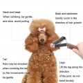 Hřeben pro údržbu a grooming domácích zvířat Walnut Pet - velký