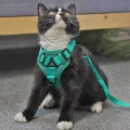 Pet Vest Harness + Traction Rope Set Reflexní Psa a Kočka Hrudní Popruh, Velikost: XL (Modrá)