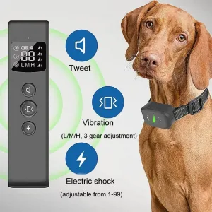 Chytrý vodotěsný elektrický výcvikový obojek pro psy - dobíjecí dálkový ovládač (černý)
