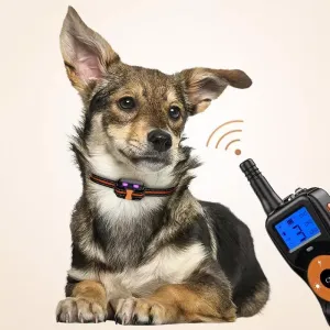 Inteligentní elektronické zařízení pro vzdálené ovládání výcviku psů - Voděodolný bark stopper pro psy, velikost: Pro dva psy (Červená)