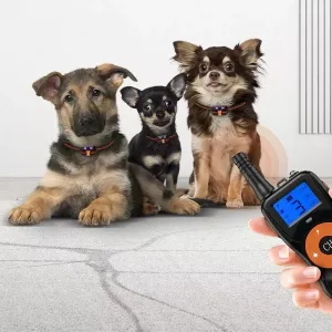 Smart Elektronické Ovládání pro Výcvik Psů - Vodotěsné, Pro Dva Psy (Červené)