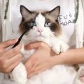 Kartáč na oči pro psy a kočky - Pet Eye Cleaning Tear Stain Brush (černý)