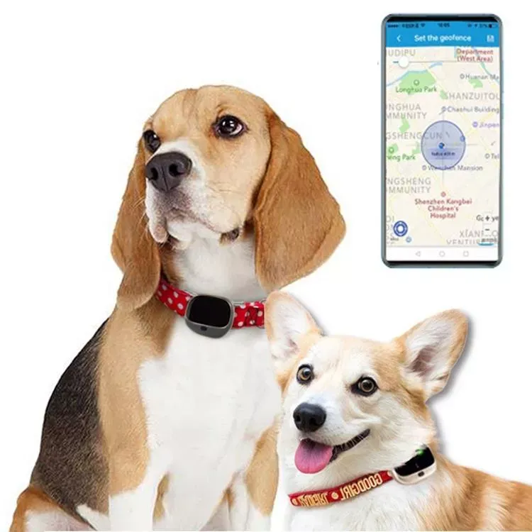 RF-V43 A Style IP67 Voděodolný GPS + LBS + WiFi Sledovací Nástroj pro Domácí Mazlíčky (Černý)