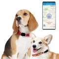 RF-V43 A Style IP67 Vodotěsný GPS + LBS + WiFi Sledovací Zařízení pro Domácí Mazlíčky (Bílá)
