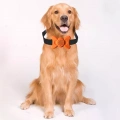 Automatický obojek na kontrolu štěkání - kvalitní tréninkový pomůcka pro psy (oranžový)