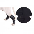 DogLemi PD60041 Ortéza na zadní nohu pro psy - M