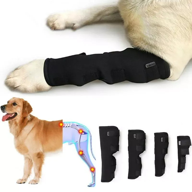 DogLemi PD60041 Ortéza na zadní nohu pro psy - M