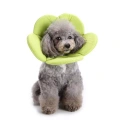 Obojek pro ochranu psů s květinovým vzorem, vel. L (zelený) - Pet Protection Collar