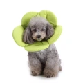 Obojek pro ochranu psů s květinovým vzorem, vel. L (zelený) - Pet Protection Collar