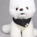 Obojek pro psy Dog Collars Pet PU Triangle 1.3x42cm (Červený)