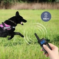 Automatický Bark Stopper pro psy - Elektronický výcvikový obojek pro tři psy (Žlutý)