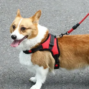K9 Dog Adjustable Chest Strap Velikost: L (Zelená)