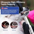Pet Ultrasonic Teeth Cleaner Dog Electric Teeth Cleaning Tool Home Dentistry Tartar Remover (Černý)