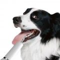 Pet Ultrasonic Teeth Cleaner Dog Electric Teeth Cleaning Tool Home Dentistry Tartar Remover (Černý)