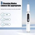 Pet Ultrasonic Teeth Cleaner Dog Electric Teeth Cleaning Tool Home Dentistry Tartar Remover (Černý)