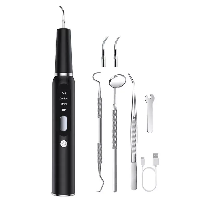 Pet Ultrasonic Teeth Cleaner Dog Electric Teeth Cleaning Tool Home Dentistry Tartar Remover (Černý)