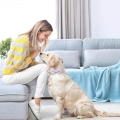 Obojek pro domácí zvířata s odnímatelnou mašlí v růžovém zlatě, velikost S 1,5x28-40cm (modrý hadí květ)