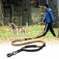 Odolné Bungee Vodítko pro Psy s Reflexními Pásky (Khaki) - Šokové Absorpční Vodítko pro Střední a Velké Psy