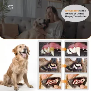 Pet Ultrasonic Teeth Cleaner – Sada na čištění zubů pro psy s dárkovou krabičkou a zrcadlem (Bílé)