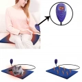 Podložka pro domácí zvířata 65x40cm - Multifunkční elektrická deka 12V