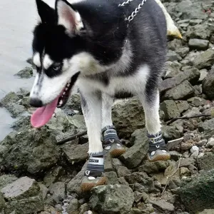HCPET Psí Boty 4 PCS - Prodyšné a Ochranné (Šedé, Velikost č. 5, 6 cm)