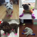 Stylové psí boty Lovely Pet pro štěňata, voděodolné gumové boty - Růžové, S (4.3 x 3.3 cm)