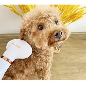 Elektrický hřeben a sušička srsti pro psy a kočky, US Plug (zelená)