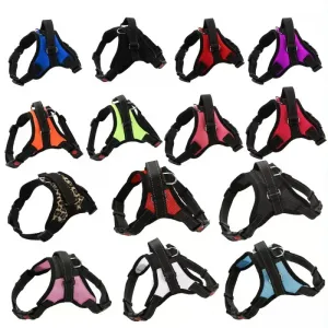 K9 Dog Adjustable Chest Strap Velikost: L (Zelená)