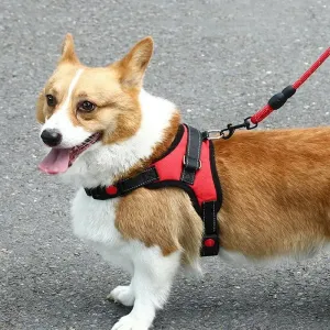 K9 Dog Adjustable Chest Strap Velikost: L (Zelená)
