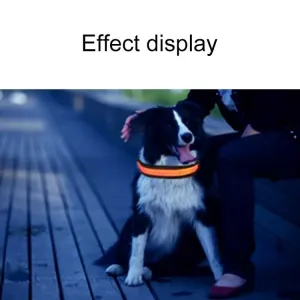 Obojek pro střední a velké psy se solárním a USB nabíjením, LED světlo, obvod krku: L, 50-60cm (oranžový)