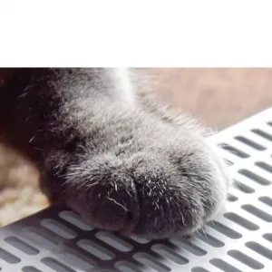 Uzavřený kočičí záchod čtvercového tvaru, malý