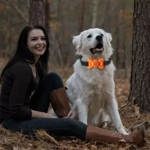 Automatický obojek pro psy s ovládáním hlasem - trenažér (bílý)