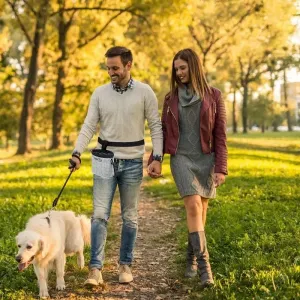 LDLC Outdoor Pet Snack Bag Oxford Cloth Reflective Dog Training Bag - Světle šedá
