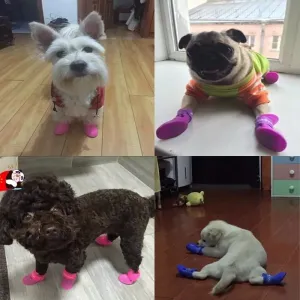 Stylové psí boty Lovely Pet pro štěňata, voděodolné gumové boty - Růžové, S (4.3 x 3.3 cm)