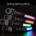 LED voděodolný obojek pro psa s rychlým uvolněním pro AirTag, M (modrý)