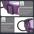 Nylonový obojek pro psa s AirTag, neoprénová podšívka, reflexní, velikost XL (královsky modrá)