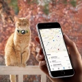 Kryt na AirTag Tracker Pro Kočky - Silikonový Obojek s Klíčenkou (Gradientní Žlutá)