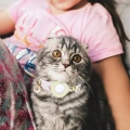 Malý silikonový obal na AirTag pro psí obojek s květinovým vzorem a zvoncem (Zářící zelený)