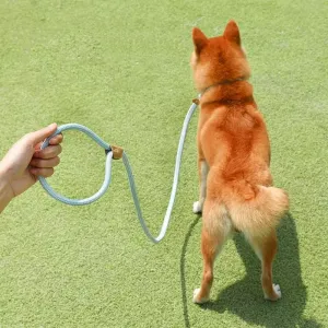 Vodítko pro psy 1.5m x 0.8cm - Červenobílé s univerzálním bezpečnostním zámkem