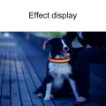 Obojek pro střední a velké psy se solárním a USB nabíjením, LED světlo, obvod krku: L, 50-60cm (oranžový)