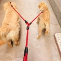 Vodítko pro psy Double Dog s protišroubovacím systémem, 1.4m (Modro-černé)